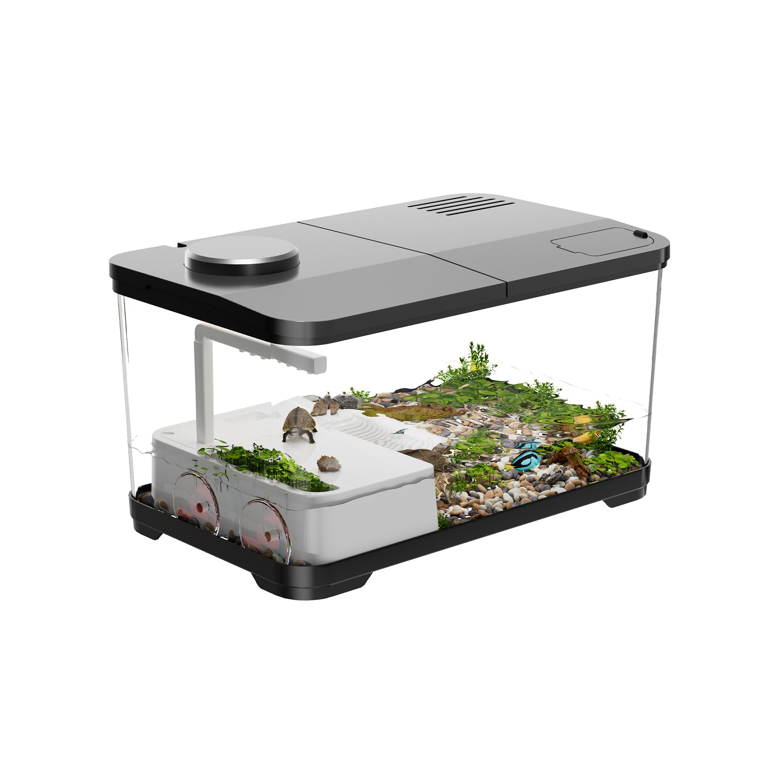 FilterNest Elevate Turtle Tank